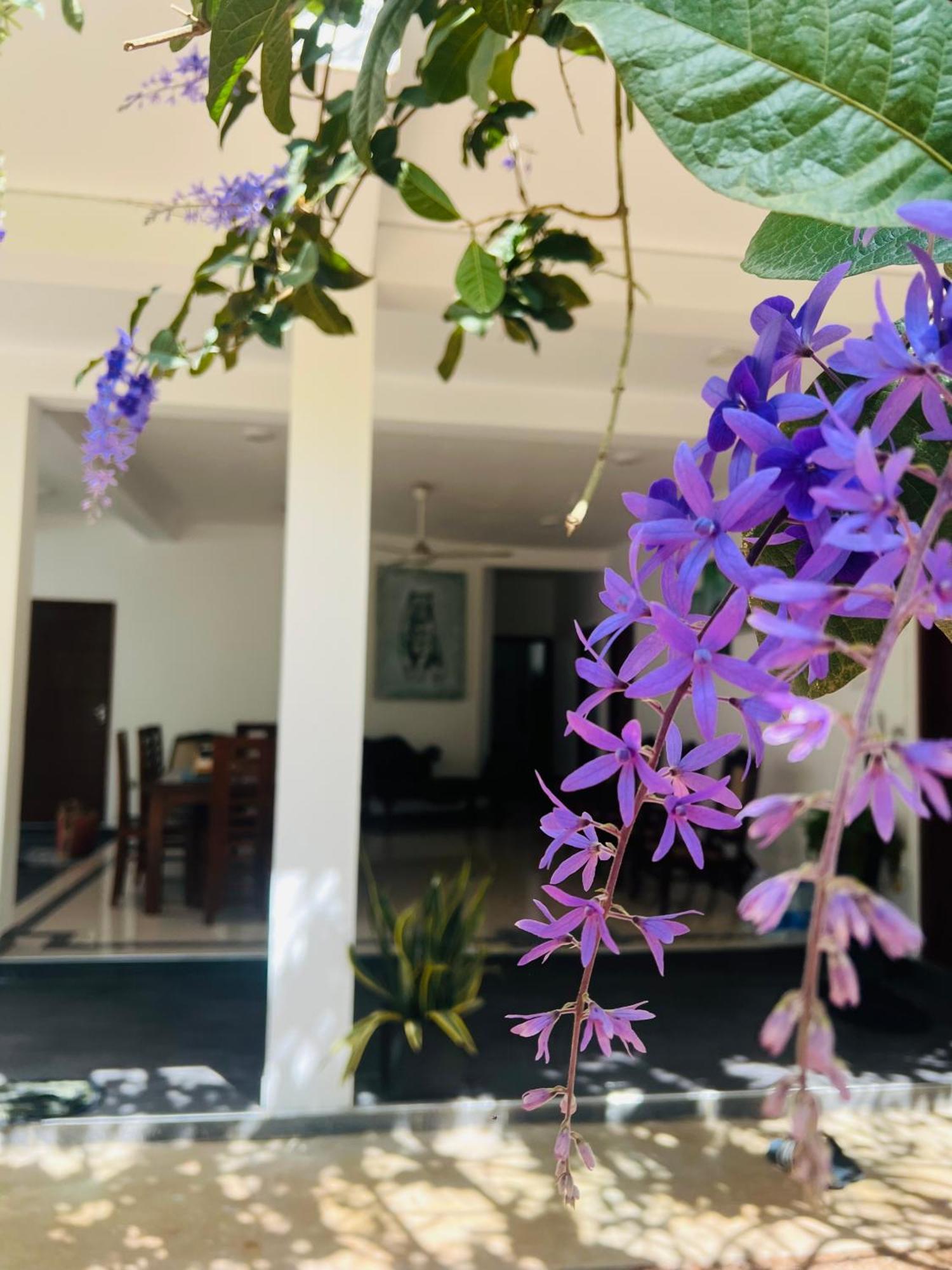 Bed and Breakfast Vogel Nest Midigama East Exterior foto